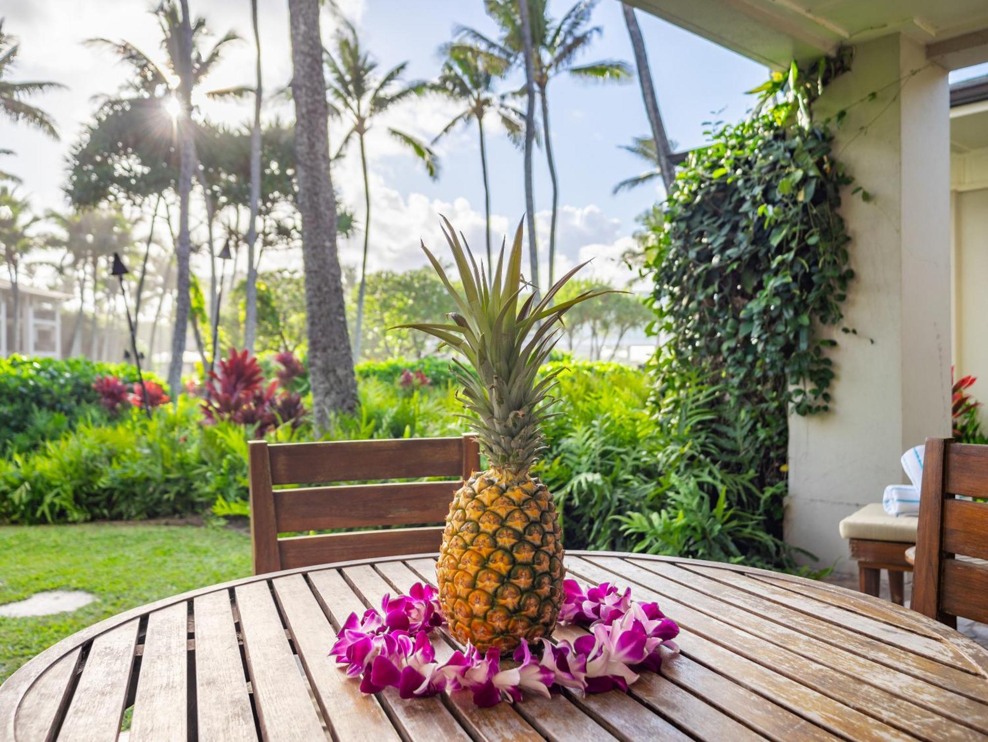Ocean Villas At Turtle Bay 卡胡库 客房 照片